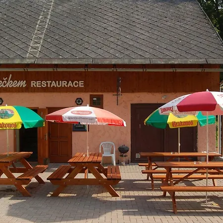 Pensionat Pod Hradeckem *