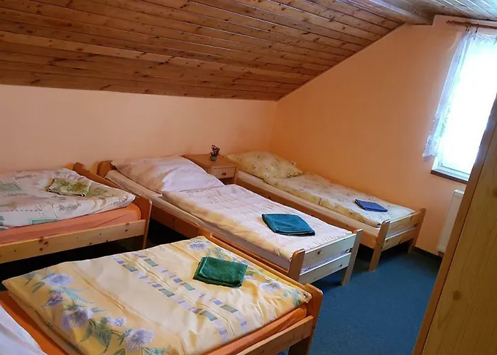 Pod Hradeckem Pensionat *